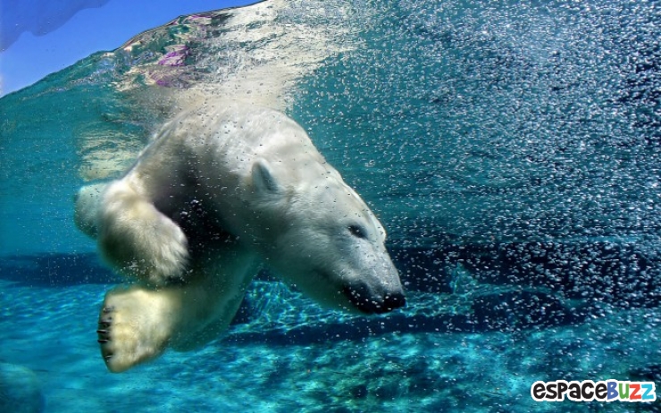Illustration de l'article : Les 10 plus belles images que peuvent offrir les mers et oc&eacute;ans du monde