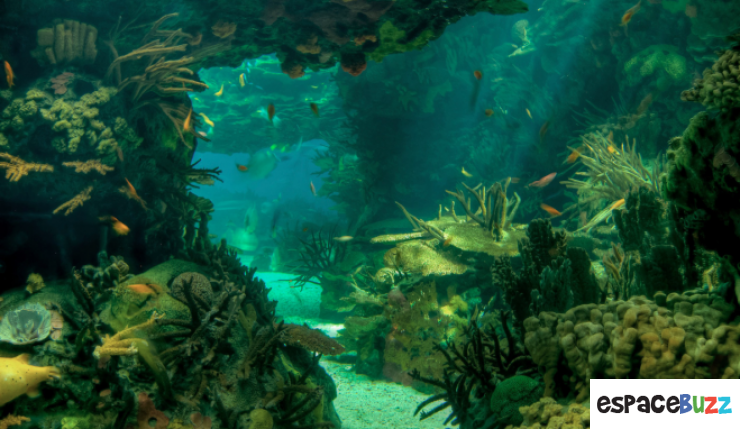 Illustration de l'article : Les 10 plus belles images que peuvent offrir les mers et oc&eacute;ans du monde