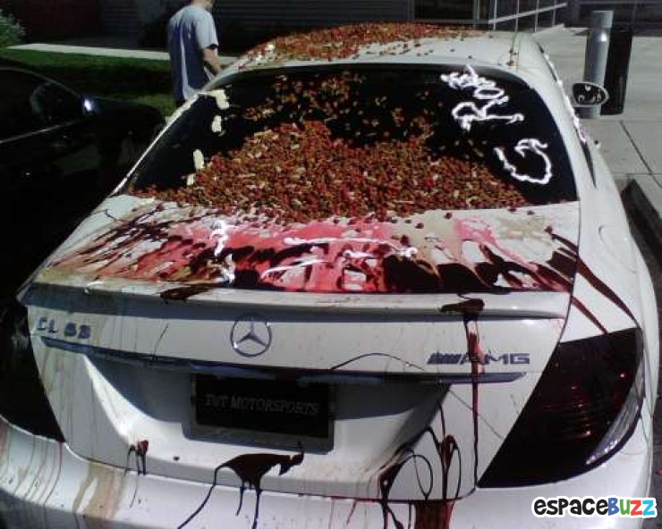 Illustration de l'article : 10 photos de voitures gentiment "décorées" par des copains