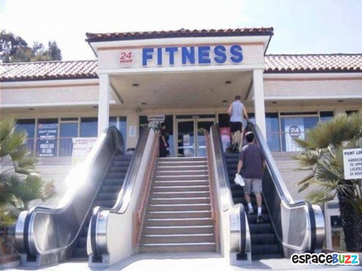 Illustration de l'article : Découvrez la crème de la fainéantise en 14 photos