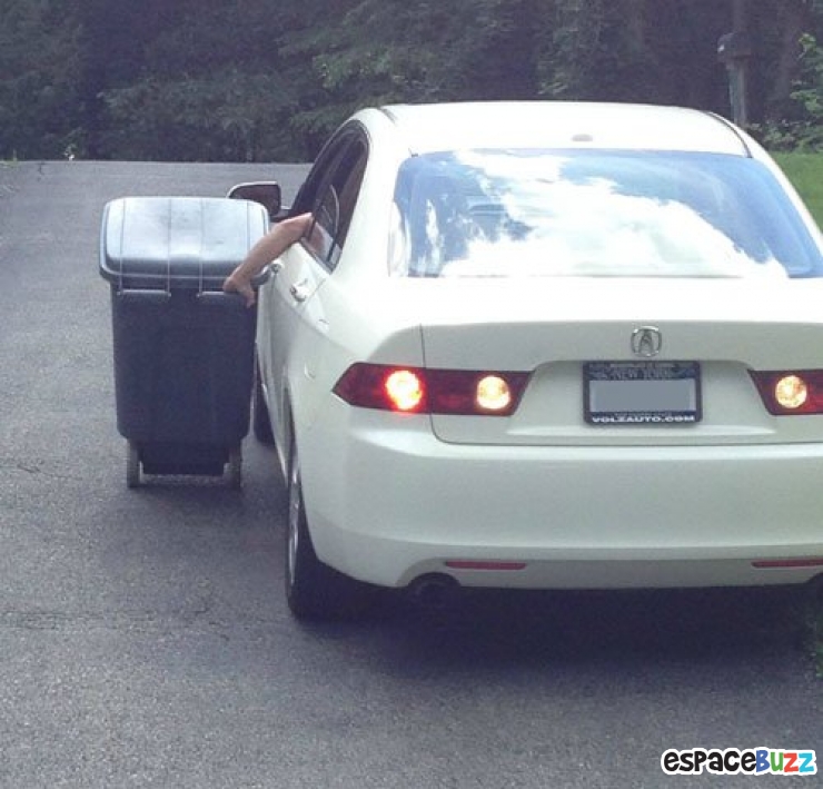 Illustration de l'article : Découvrez la crème de la fainéantise en 14 photos