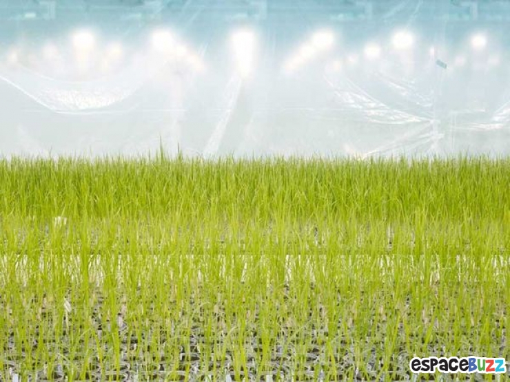 Illustration de l'article : L'agriculture vue par le photographe Henrik Spohler en 10 clich&eacute;s