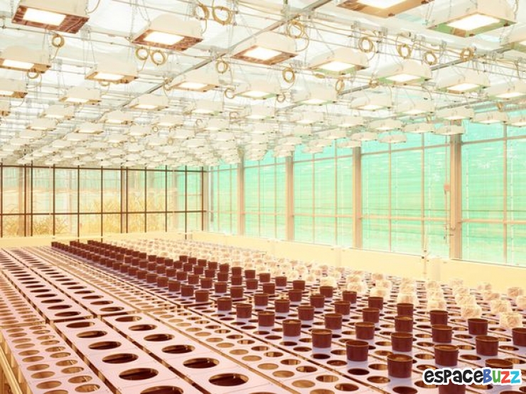 Illustration de l'article : L'agriculture vue par le photographe Henrik Spohler en 10 clich&eacute;s