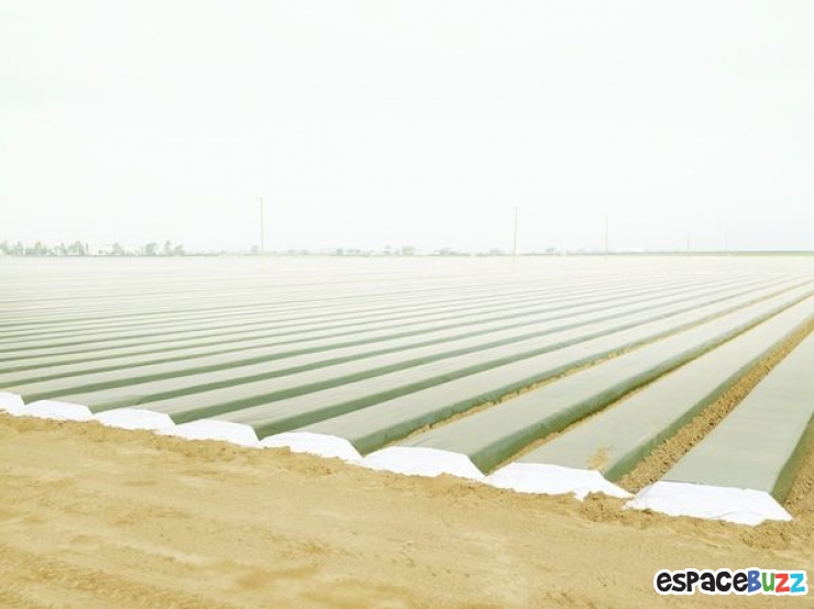 Illustration de l'article : L'agriculture vue par le photographe Henrik Spohler en 10 clich&eacute;s