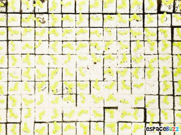 Illustration de l'article : L'agriculture vue par le photographe Henrik Spohler en 10 clich&eacute;s