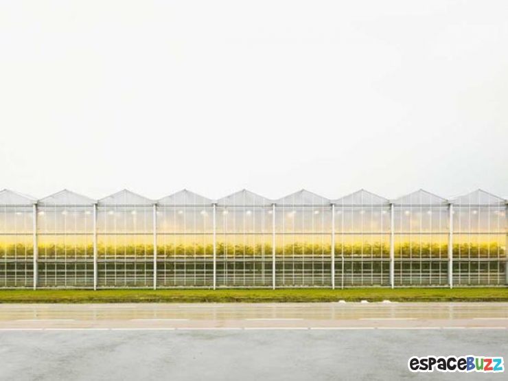 Illustration de l'article : L'agriculture vue par le photographe Henrik Spohler en 10 clich&eacute;s