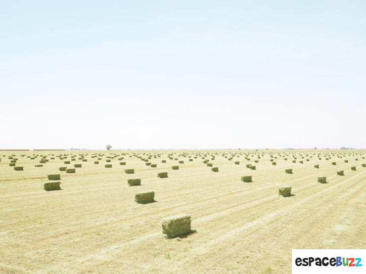 Illustration de l'article : L'agriculture vue par le photographe Henrik Spohler en 10 clich&eacute;s