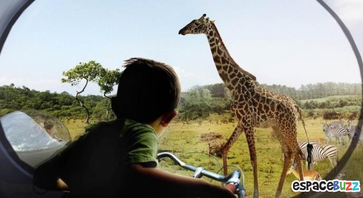 Illustration de l'article : Au Danemark, les visiteurs du zoo de demain ne seront pas vus par les animaux