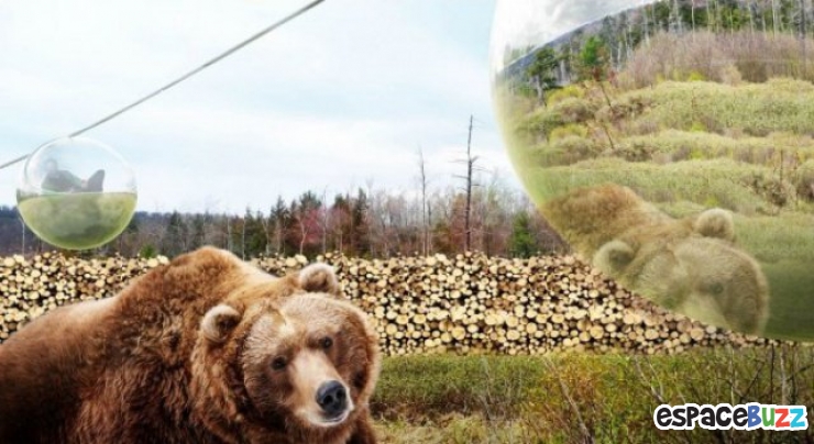 Illustration de l'article : Au Danemark, les visiteurs du zoo de demain ne seront pas vus par les animaux