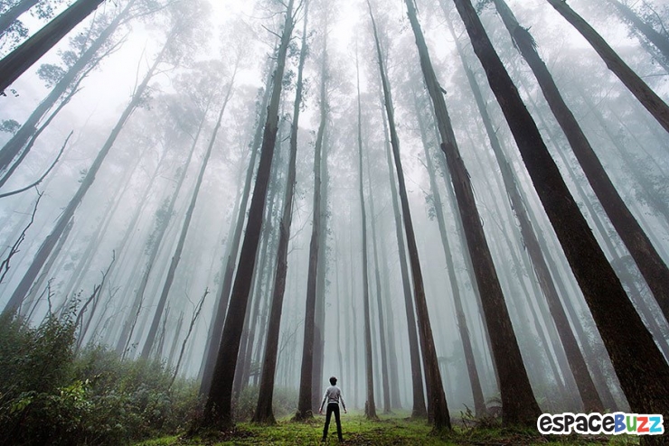 Illustration de l'article : 15 photos venant rappeler l'immensité de la Nature face à l'Homme