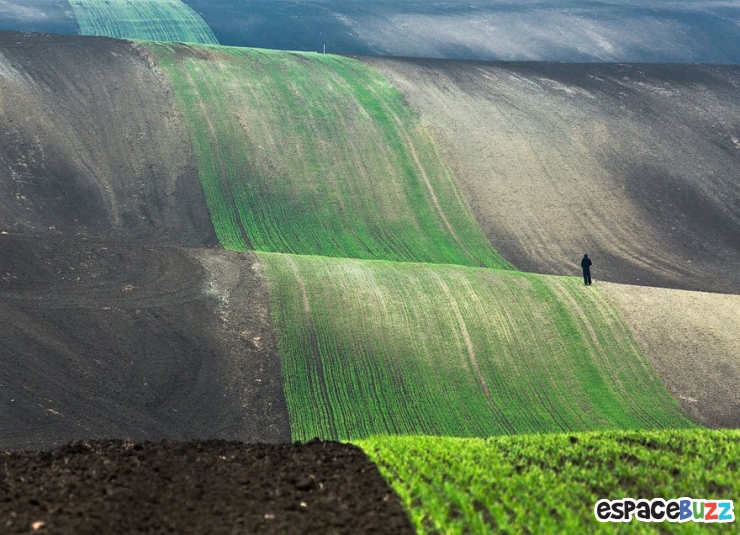 Illustration de l'article : 15 photos venant rappeler l'immensité de la Nature face à l'Homme