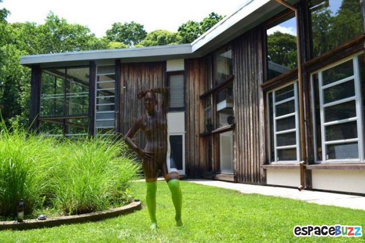 Illustration de l'article : Les superbes body paintings de l'artiste Trina Merry : comme un caméléon à New York...