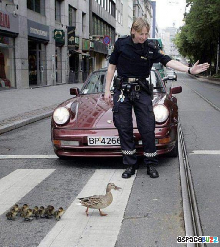 Illustration de l'article : 12 émouvantes photos de bonnes actions! Un peu d'humanité dans ce monde de brutes!