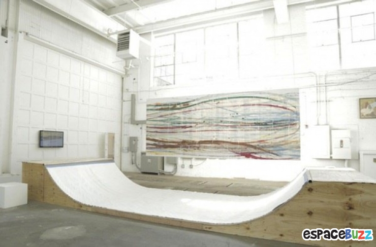 Illustration de l'article : Matt Reilly, l'artiste qui peignait avec son skate