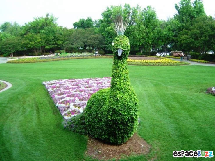 Illustration de l'article : Top 12 des sculptures v&eacute;g&eacute;tales les plus impressionnantes! 