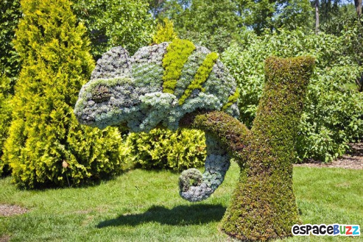 Illustration de l'article : Top 12 des sculptures v&eacute;g&eacute;tales les plus impressionnantes! 