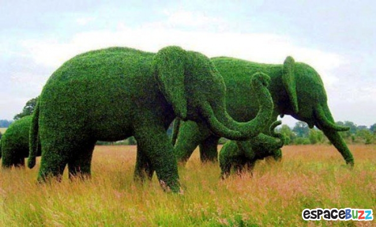 Illustration de l'article : Top 12 des sculptures v&eacute;g&eacute;tales les plus impressionnantes! 