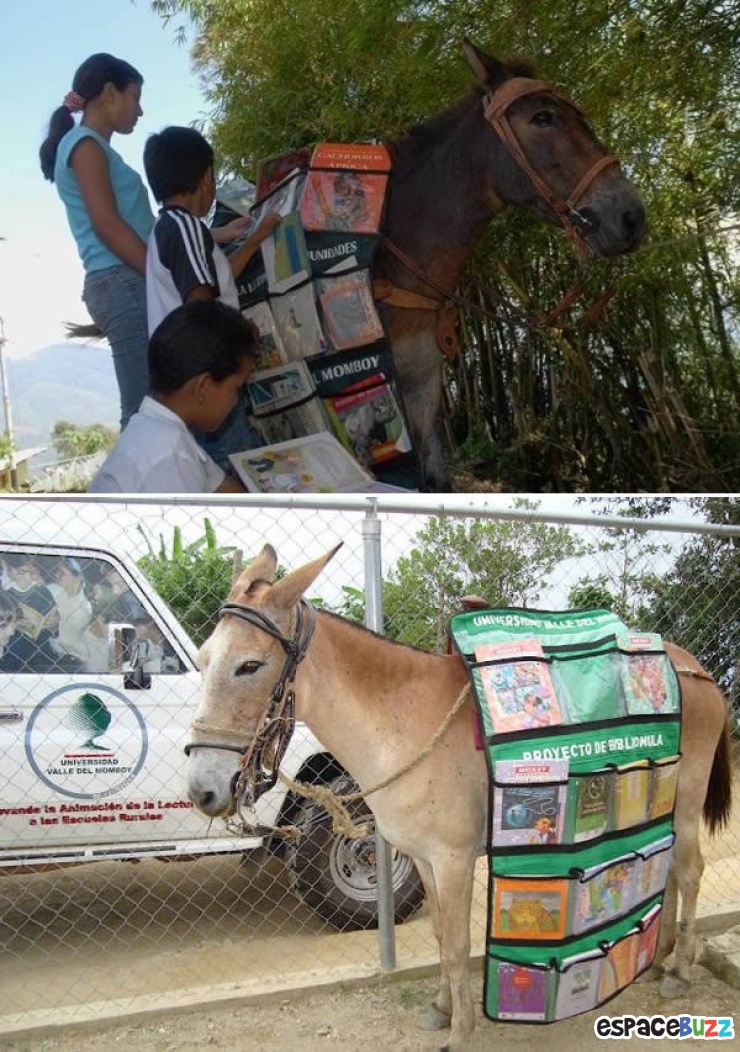 Illustration de l'article : 10 bibliothèques vraiment pas comme les autres