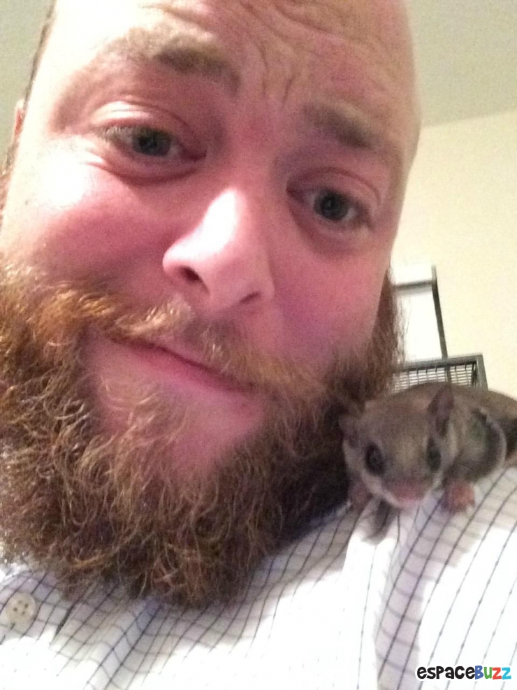 Illustration de l'article : Il a trouvé ce bébé écureuil à moitié mort dans la rue! La suite est à couper le souffle!