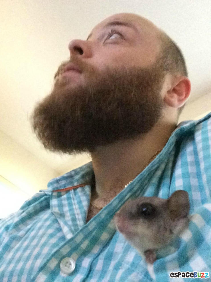 Illustration de l'article : Il a trouvé ce bébé écureuil à moitié mort dans la rue! La suite est à couper le souffle!