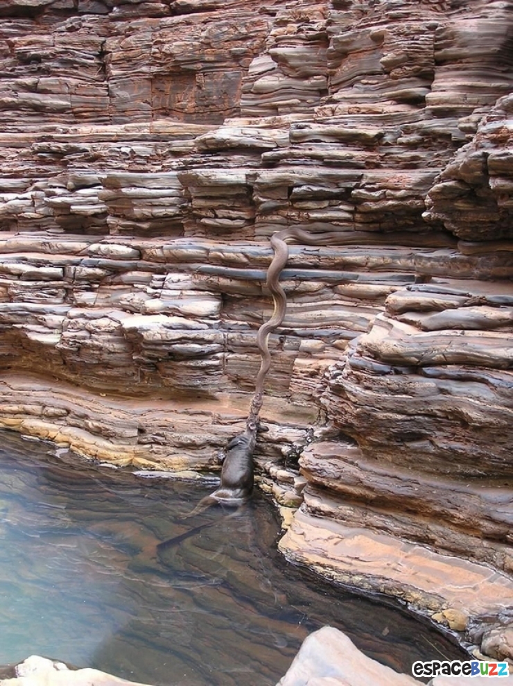 Illustration de l'article : 38 Photos prouvant que L'Australie est un pays aussi beau que mortel!