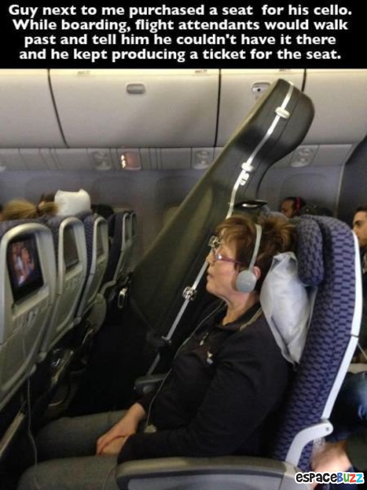 Illustration de l'article : Top 15 des passagers les plus étranges rencontrés dans un avion!