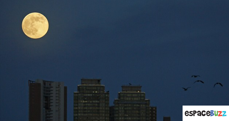 Illustration de l'article : Dix magnifiques photos de la Super Lune du 10 août