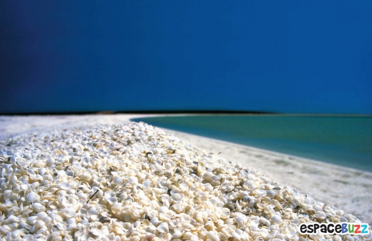 Illustration de l'article : Top 10 des plages uniques en leurs genres