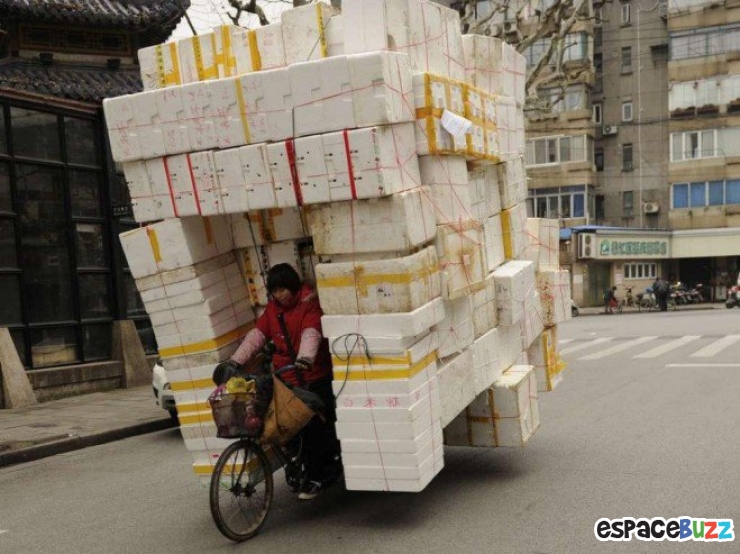 Illustration de l'article : 10 photos de véhicules "légèrement" surchargés
