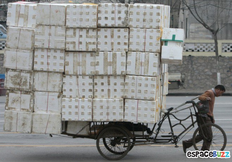Illustration de l'article : 10 photos de véhicules "légèrement" surchargés