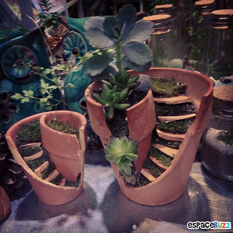 Illustration de l'article : Ne jetez pas vos pots de fleurs brisés. Vous pouvez en faire de magnifiques oeuvres d'art végétales, comme ces 12 exemples