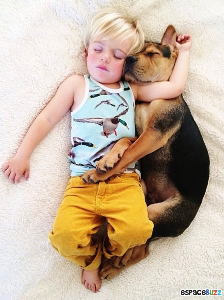 Illustration de l'article : 10 photos d'enfants et de chiens dormant côte à côte!