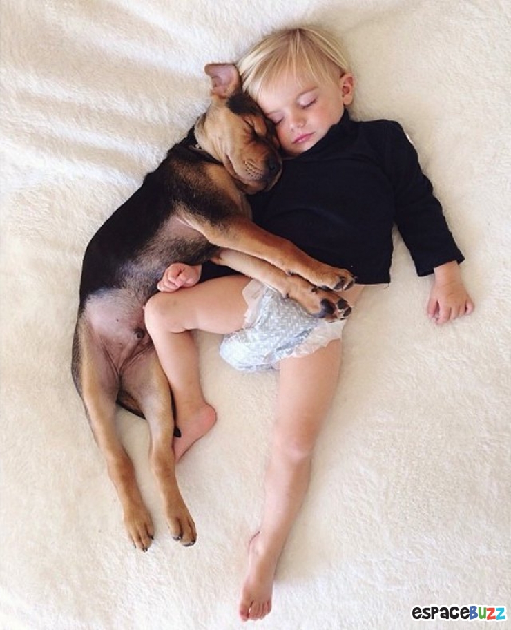 Illustration de l'article : 10 photos d'enfants et de chiens dormant côte à côte!