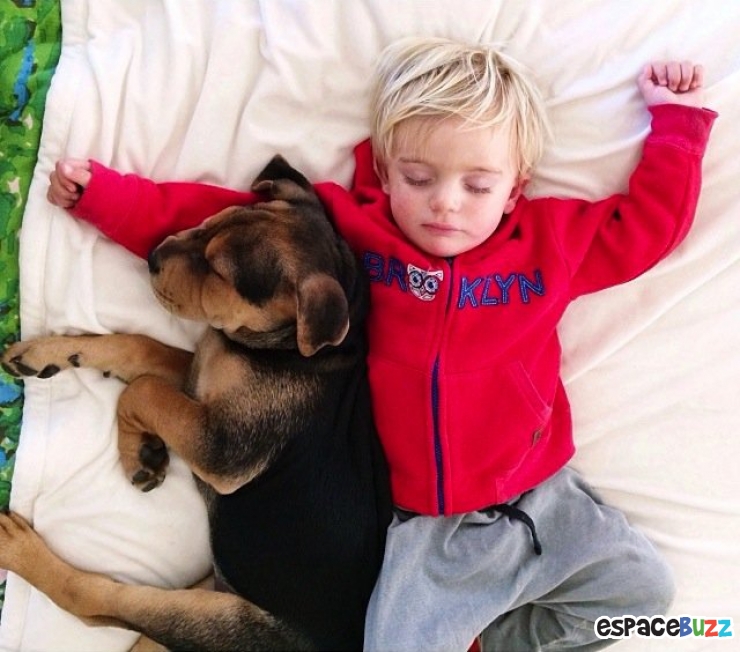 Illustration de l'article : 10 photos d'enfants et de chiens dormant côte à côte!
