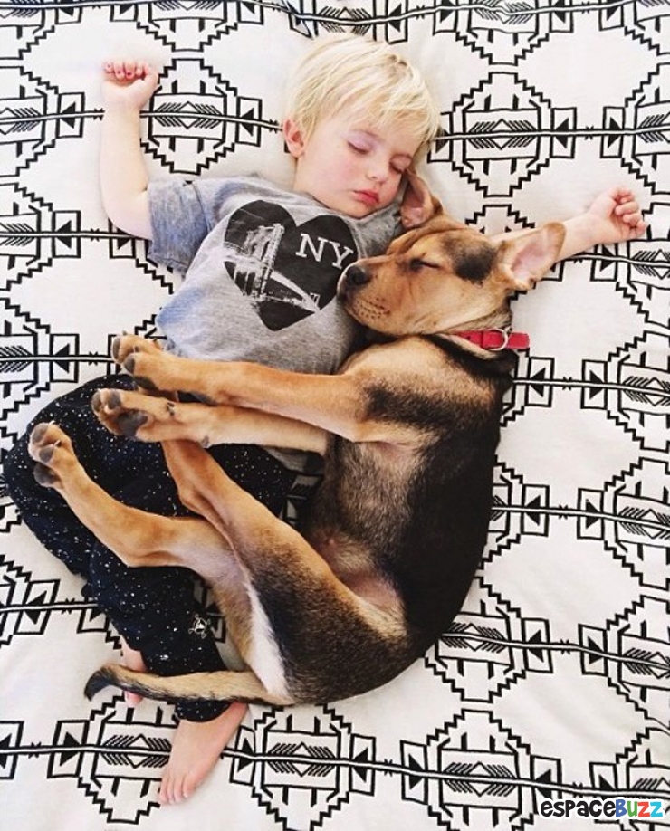 Illustration de l'article : 10 photos d'enfants et de chiens dormant côte à côte!