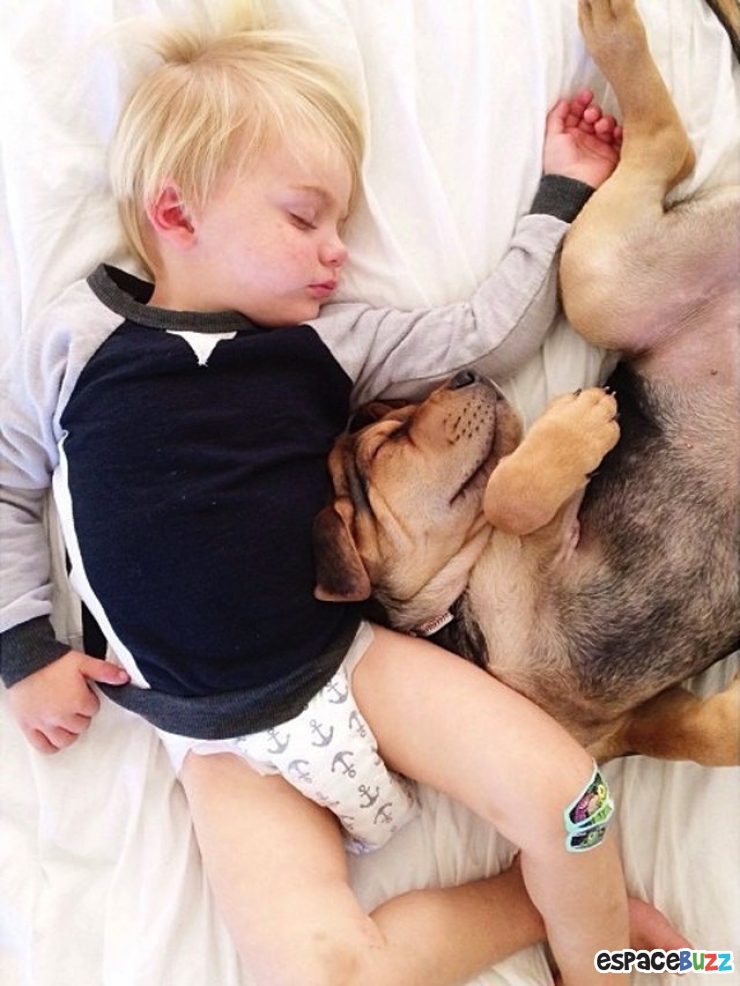 Illustration de l'article : 10 photos d'enfants et de chiens dormant côte à côte!