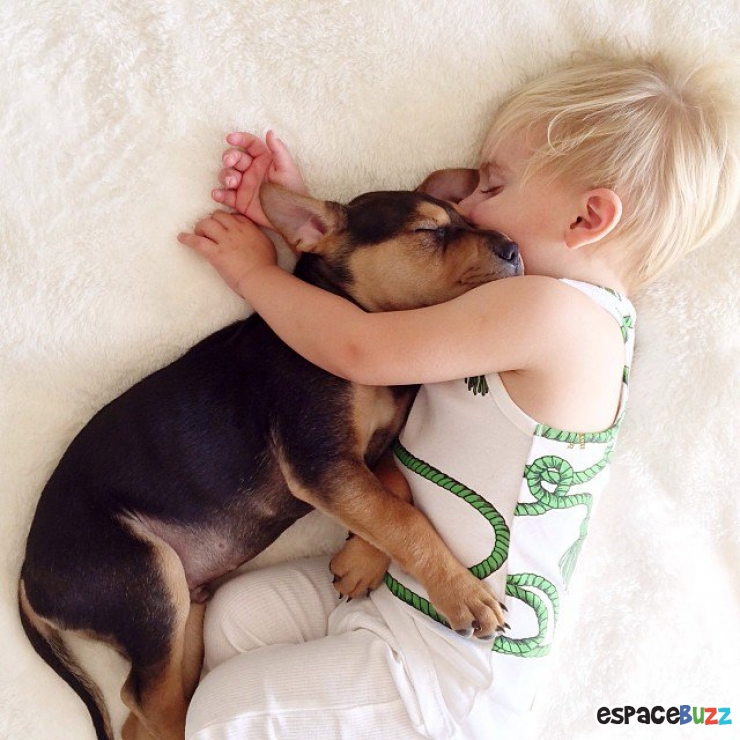 Illustration de l'article : 10 photos d'enfants et de chiens dormant côte à côte!
