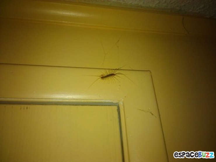 Illustration de l'article : Top 8 des petits trucs embêtants que l'on a tous connus