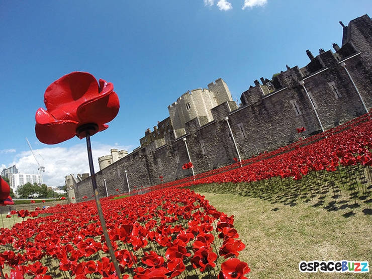 Illustration de l'article : Voici comment les artistes artistes Paul Cummins et Tom Piper vont c&eacute;l&eacute;brer le centenaire de la 1&egrave;re Guerre Mondiale