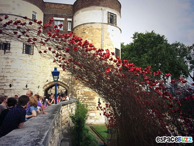 Illustration de l'article : Voici comment les artistes artistes Paul Cummins et Tom Piper vont c&eacute;l&eacute;brer le centenaire de la 1&egrave;re Guerre Mondiale