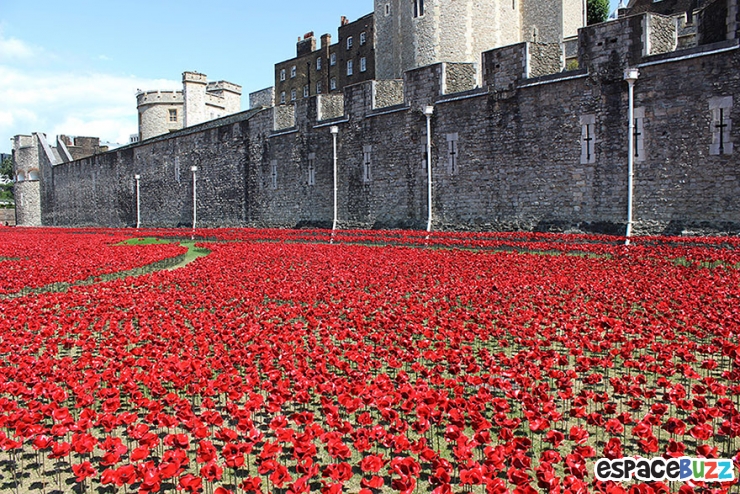 Illustration de l'article : Voici comment les artistes artistes Paul Cummins et Tom Piper vont c&eacute;l&eacute;brer le centenaire de la 1&egrave;re Guerre Mondiale