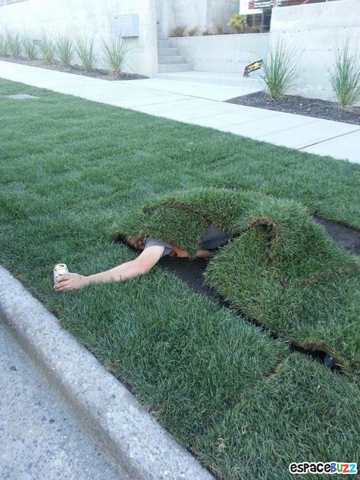 Illustration de l'article : 12 photos issues du monde merveilleux de l'ivresse