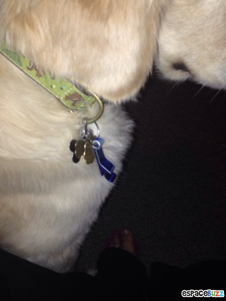 Illustration de l'article : 12 photos issues du monde merveilleux de l'ivresse