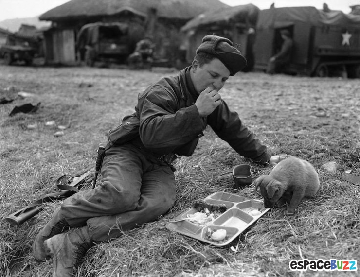 Illustration de l'article : Quand la solidarité et l'humanité survivent aux pires drames : 15 photos saisissantes