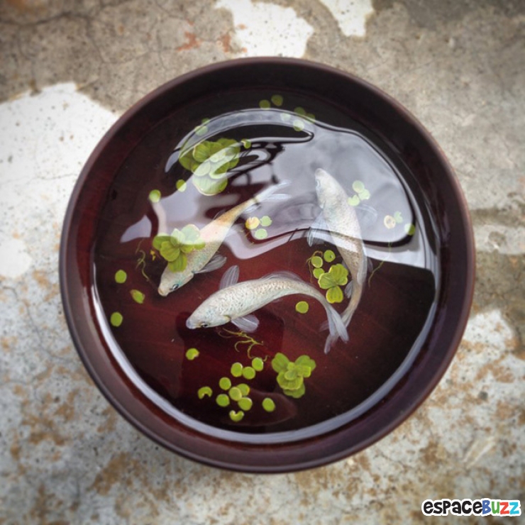 Illustration de l'article : Découvrez les incroyables poissons en 3D et en résine de Keng Lye