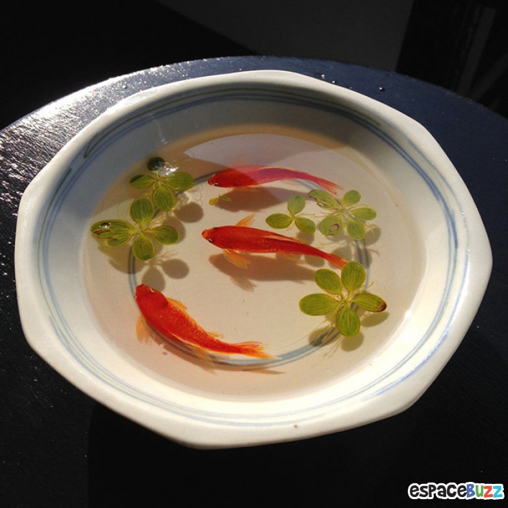 Illustration de l'article : Découvrez les incroyables poissons en 3D et en résine de Keng Lye