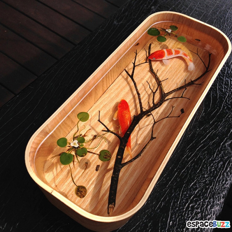 Illustration de l'article : Découvrez les incroyables poissons en 3D et en résine de Keng Lye