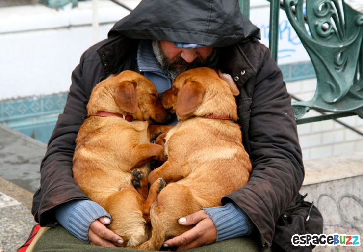 Illustration de l'article : 10 émouvantes photos de sans-abri avec leurs chiens