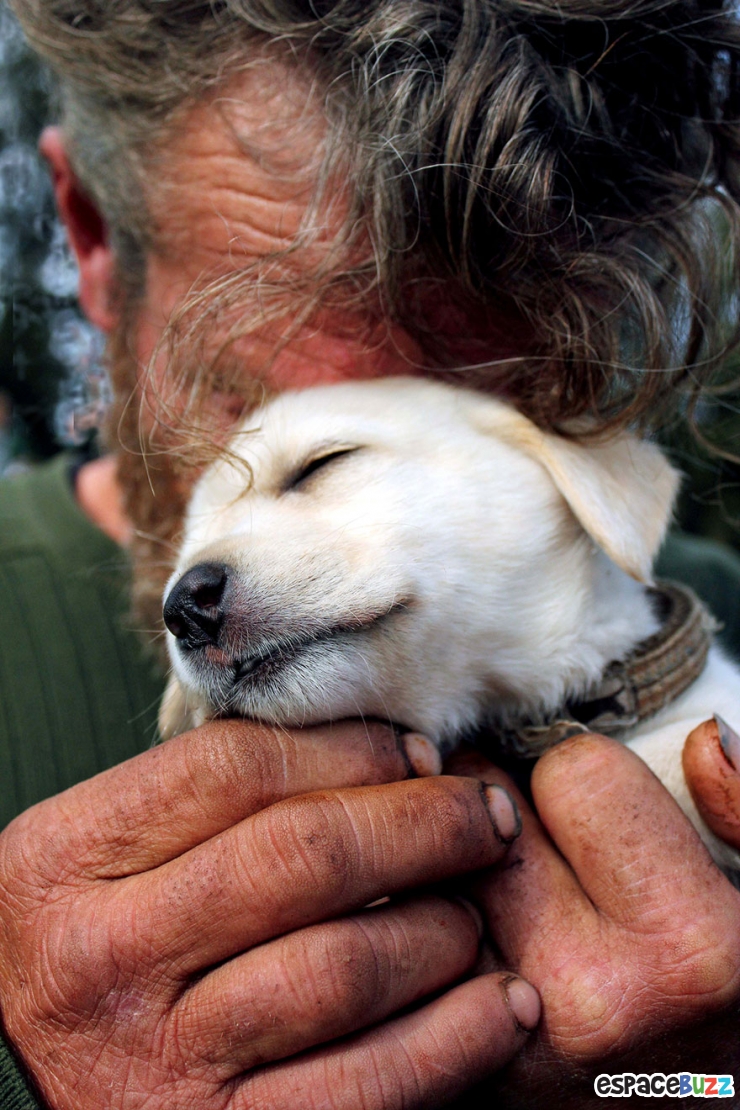 Illustration de l'article : 10 émouvantes photos de sans-abri avec leurs chiens