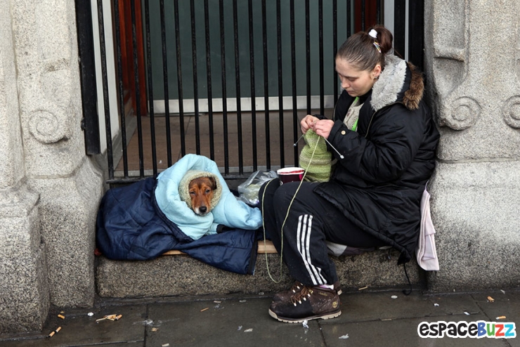 Illustration de l'article : 10 émouvantes photos de sans-abri avec leurs chiens